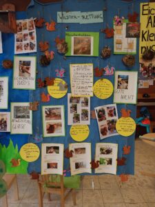 Projektwand zum Thema Eichhörnchen im Flottkamp. Infos und Bilder zu vielen verschiedenen Kategorien.